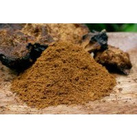 Chaga Mushroom